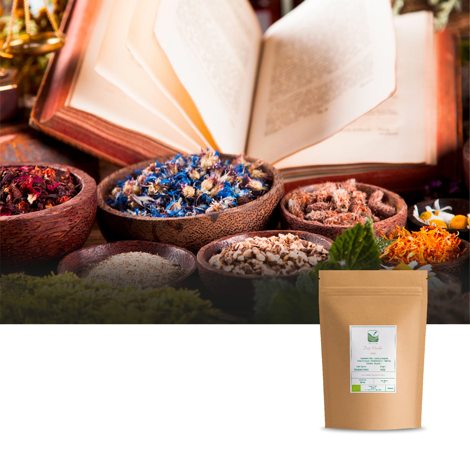 Ivy Herb 100g
