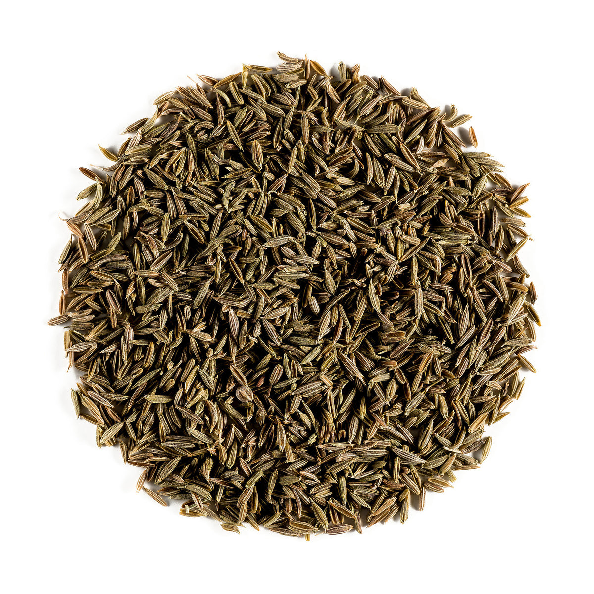 Caraway