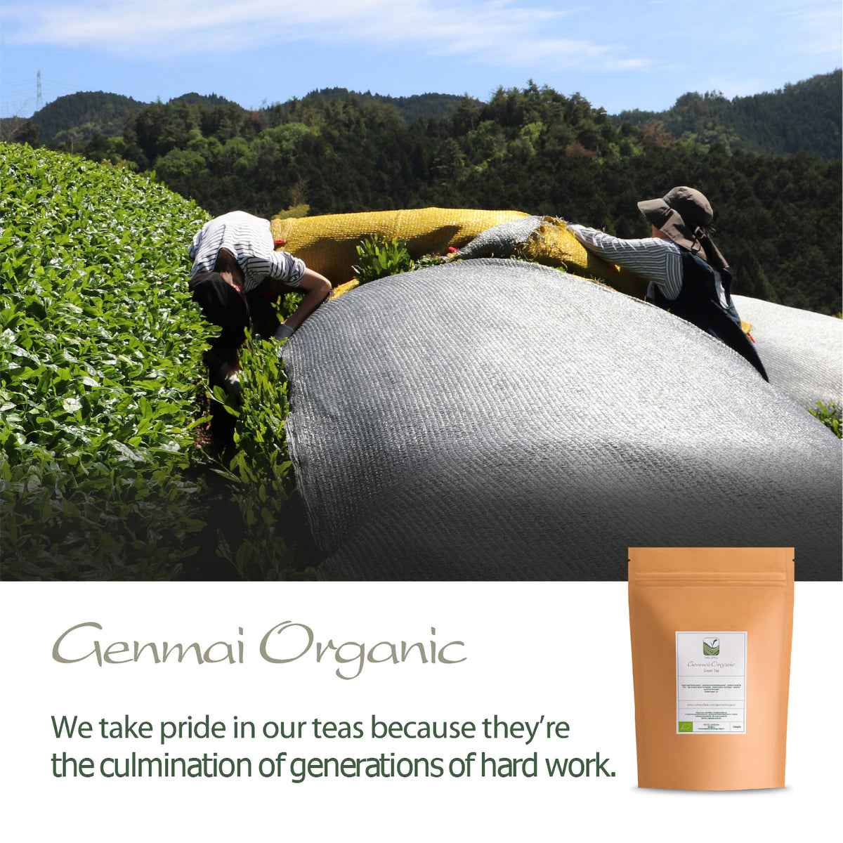Genmai Organic 50g