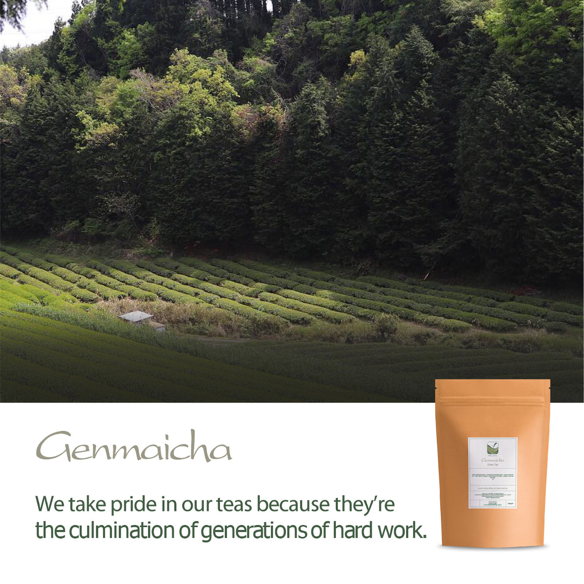 Genmaicha 100g