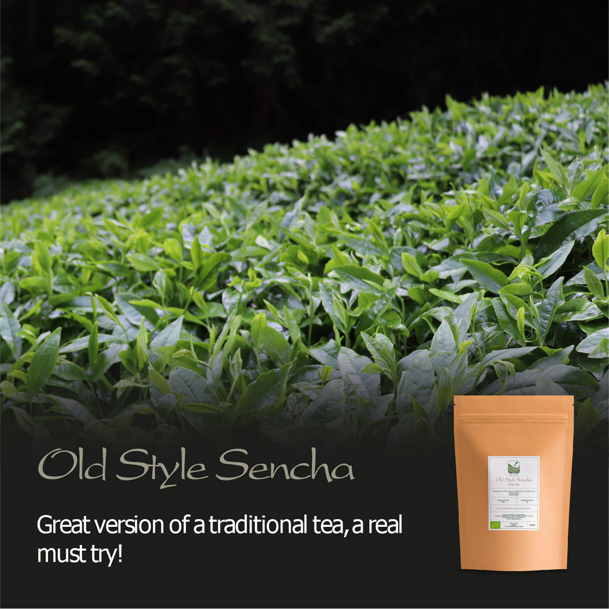 Sencha Organic Green Tea Japan - Artisan Farm - Sen Ca 50g