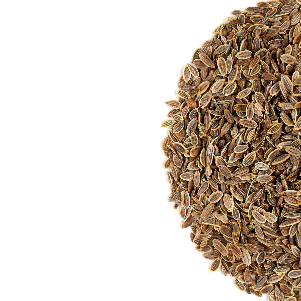 Dill Seed