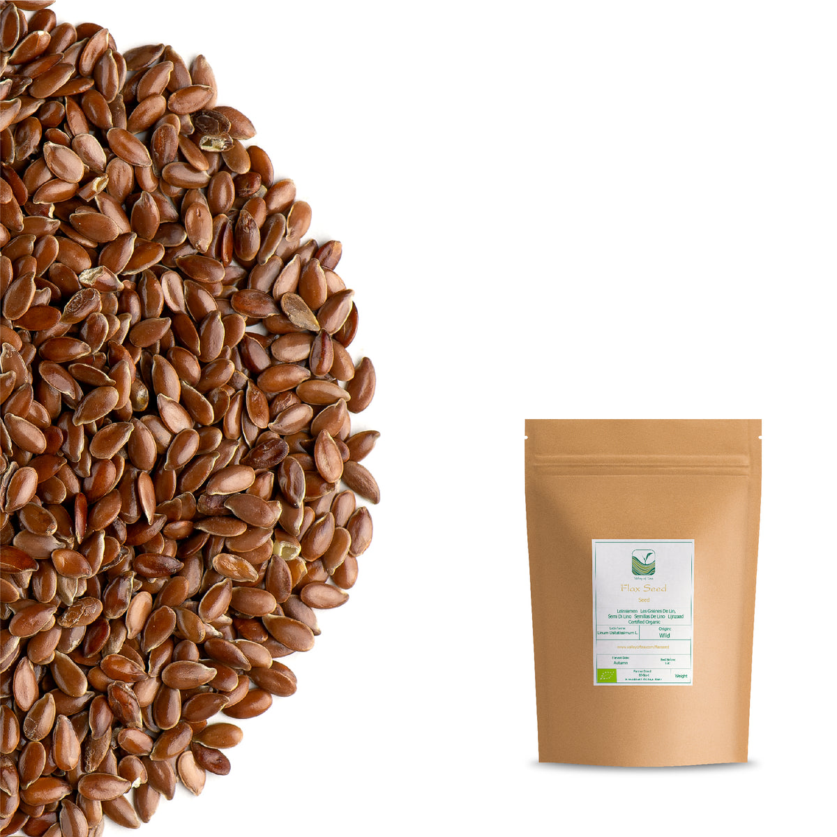 Flax Seed