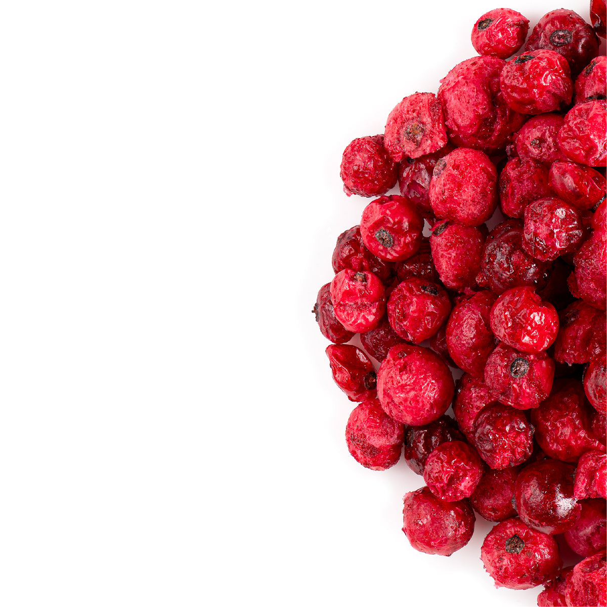 Freeze Dried Berry 50g