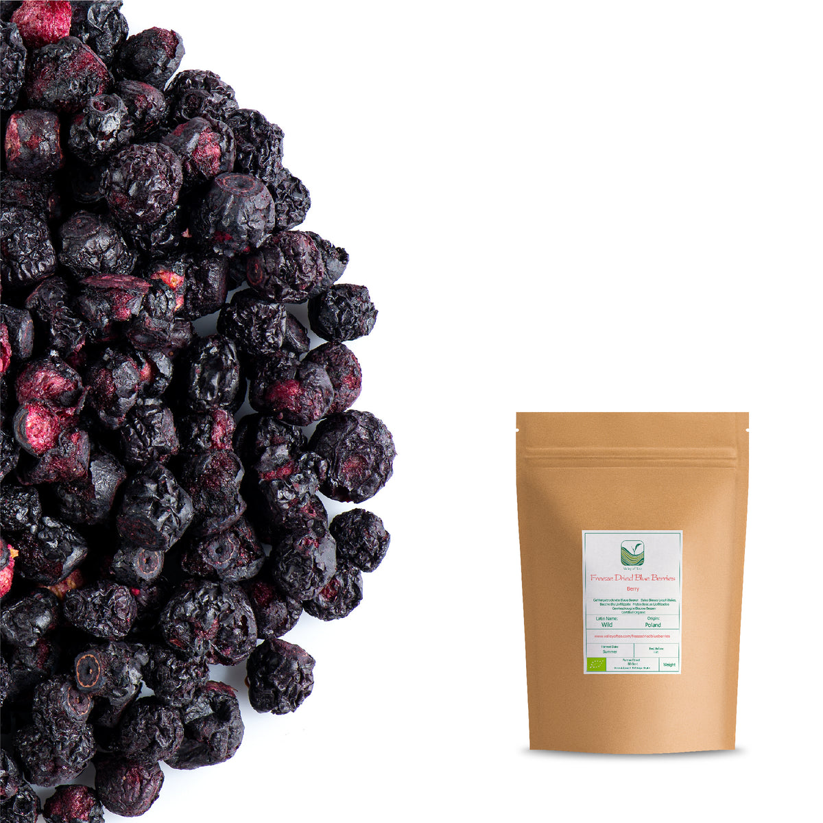 Freeze Dried Blue Berries 50g