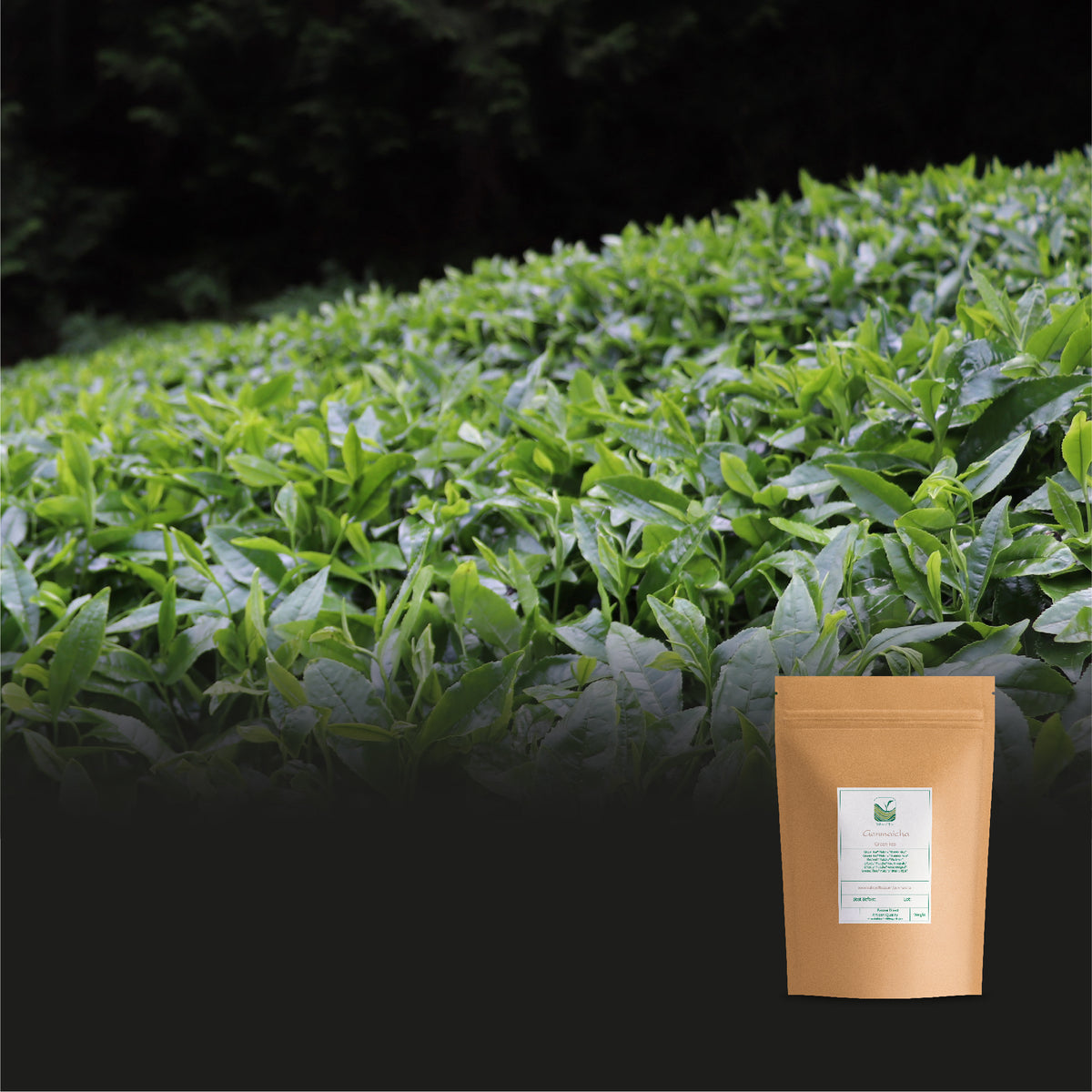 Genmaicha 100g