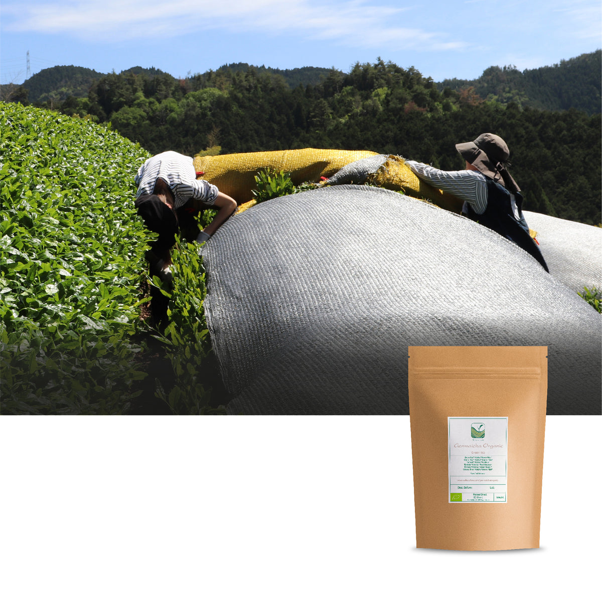 Genmaicha Organic 50g