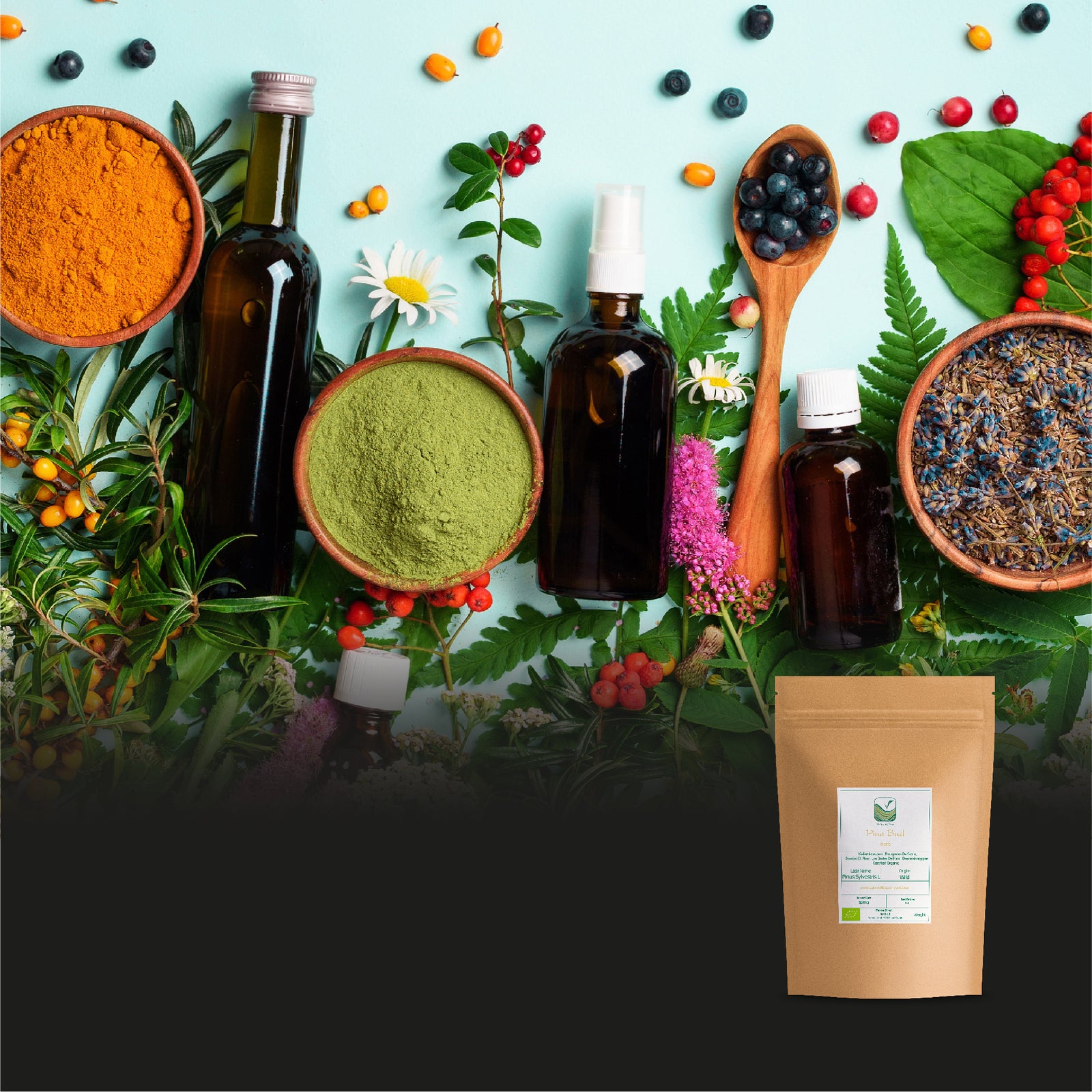 Pine Bud 50g