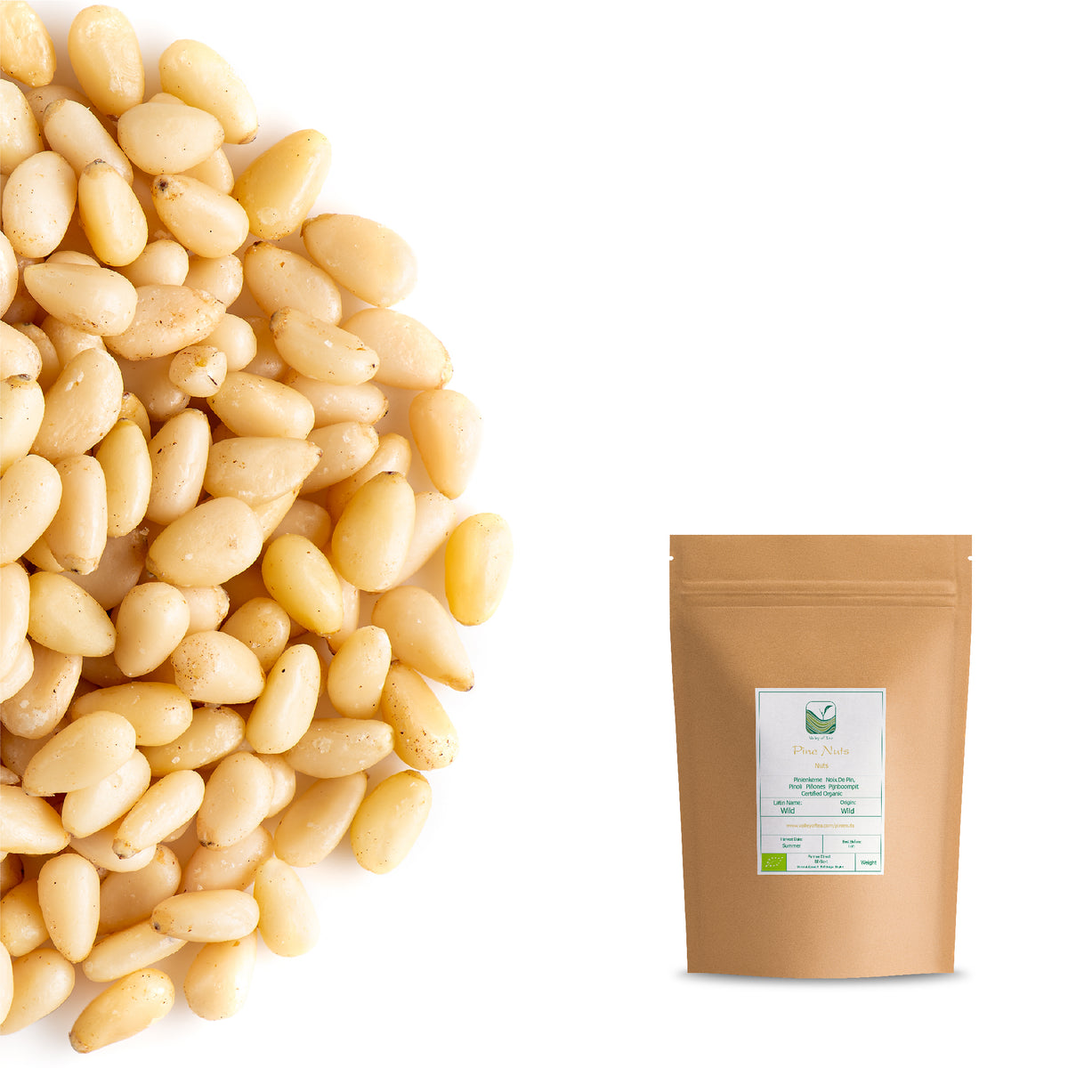 Pine Nuts 100g