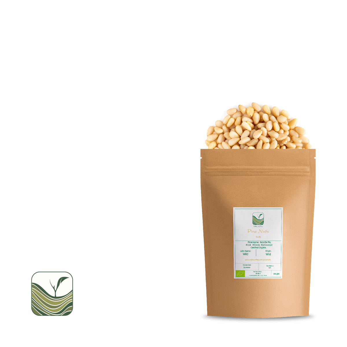Pine Nuts 100g
