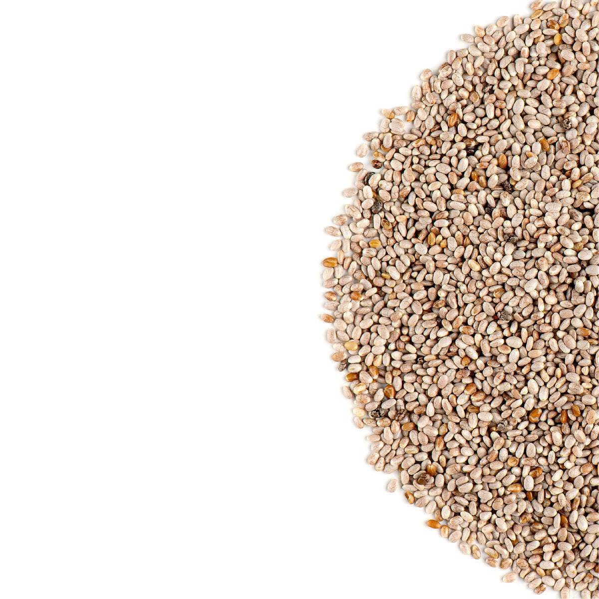 White Chia Seed 500g